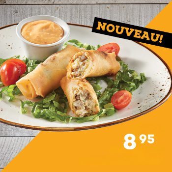 entree-de-rouleaux-gyro